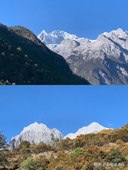 云南旅游：一场充满惊喜与惊吓的奇幻冒险