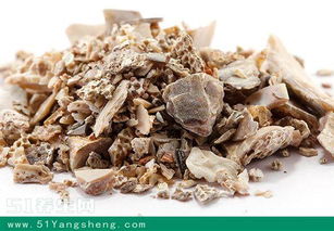 石决明有什么药效,石决明有什么药效