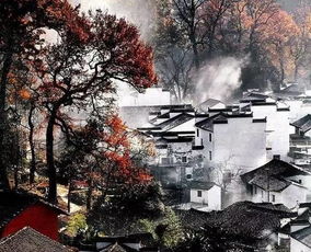 1）柳絮轻巧舞