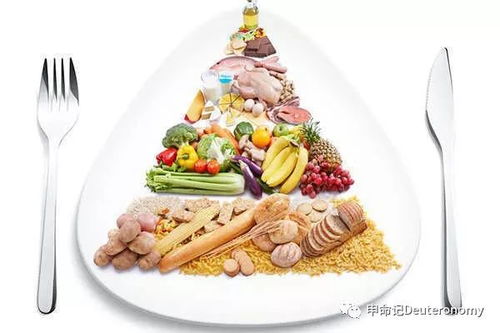 不同地区的饮食差异