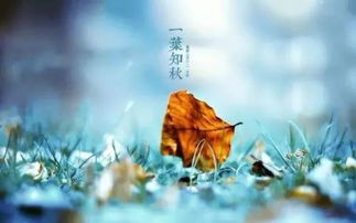 二、 2026年五行大乱炖！