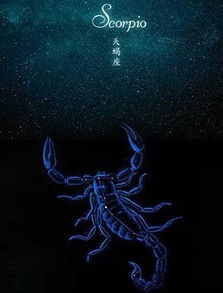 酒量VS安全感：天蝎男的迷之操作