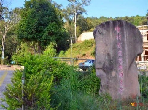 武定较大：听起来像是一个地名， 却有可能是一种崭新型旅行模式