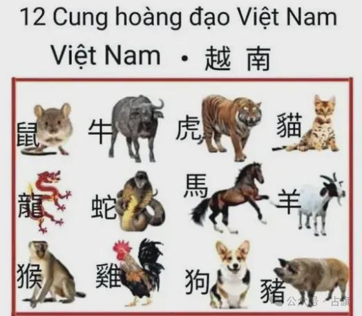 将空言虚语打一生肖，这个生肖是哪个呢？
