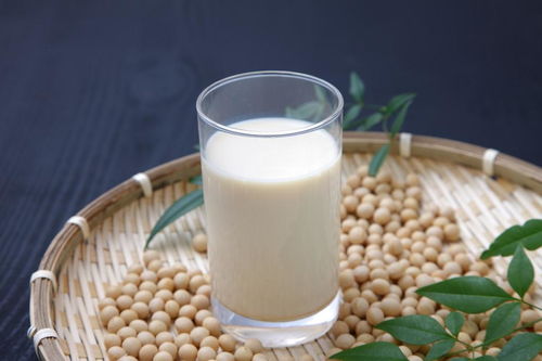 二、 科学研究视角：黄豆中的雌激素与营养成分实际价值