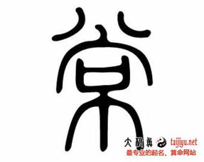 二、现代化简约派（科学研究技术手段感）