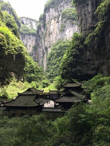 Day 1：初识山城·解放碑+洪崖洞+八一好吃街（乱入版）