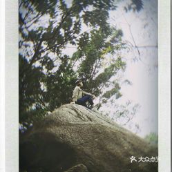 二、 公园概览：森林茂密，奇石岩洞遍布（随便写）