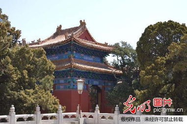 2.1 孔庙：书卷气与烟火气混杂