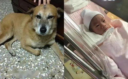 梦回宴会——那场星座与风水的奇怪交叉