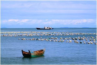 4. 南麂列岛——海鲜吃到想吐