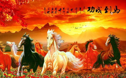 四、 情绪化的命理师较小段子（噪声填充）