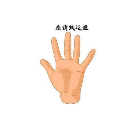 手相八字算命，当董事长的女人命运好不好？