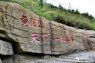 3. 泰和山（所谓“三教圣地”， 其实只有和尚一个人在打坐）
