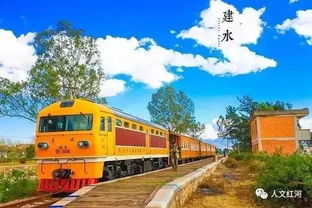 四、 昆明本地疯狂推荐（请自行甄别）