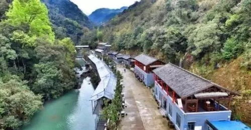 龙岭顶:山顶上の