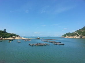 第三站：清远长寿湖