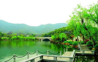 李沧区森林公园的详细风水评价,济南森林公园风水布局