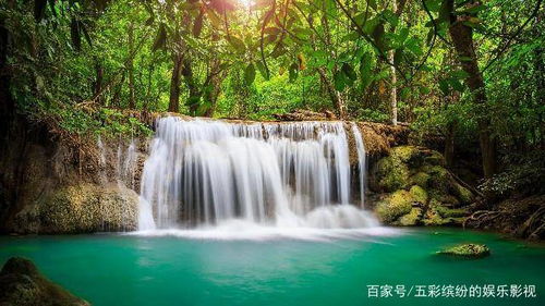 先说说这家伙到底在哪儿