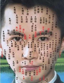 身体各部位痣的寓意有哪些？哪个部位的痣预示着富贵长寿？