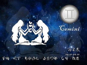 笑到胃痛！双子座与其他星座的奇葩配对
