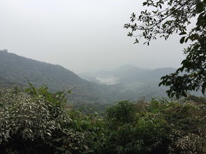 南沙黄山鲁攻略,广州南沙黄山鲁风水