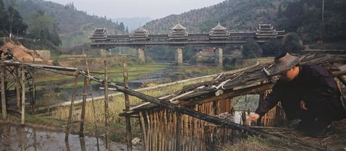 桂阳导游招聘：让你成为旅程中的王者