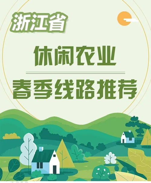 2026年金华旅游玄学指南