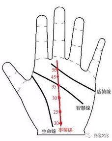 手相纹中哪条是婚姻线？60多岁男人手相婚姻线会改写吗？