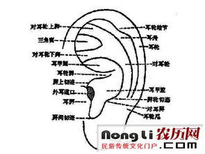 命格极阴的男性命运特征有哪些具体表现？