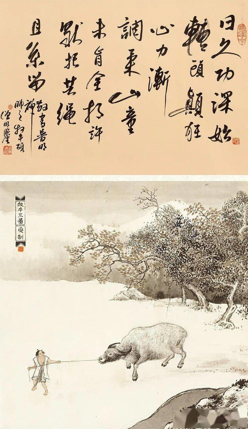 国内知名的禅修机构有哪些？