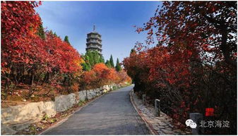 踩着石板路前往寺庙