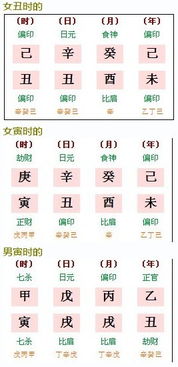 八字合冲中，哪些组合属于相合或相冲？