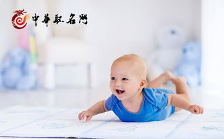 五 、 案例解析：把真实实八字塞进几组姓名里看效果怎样 🚀