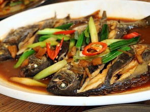 温汤自驾游攻略：一场说走就走的泡汤之旅