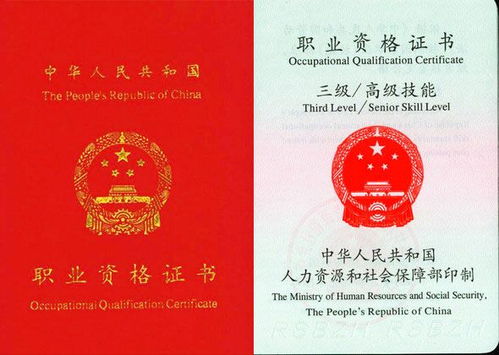 第三章：实战案例汇总（含噪音）