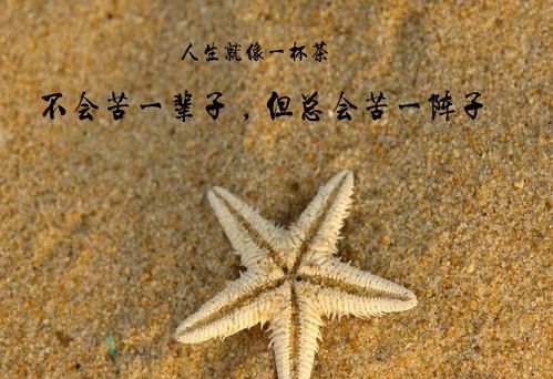 星座的守护与风水的庇护