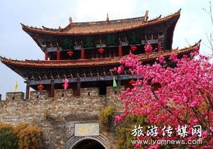 惯与吃这件事的碎碎念