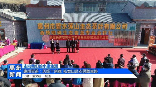 惠州市碧水莲山生态茶叶有限公司,惠州市碧水莲山生态茶叶有限公司