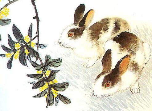 生肖兔：温柔婉转， 情感事业双得意（或着说是）