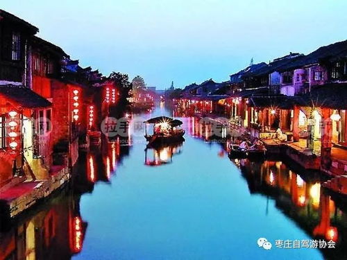 序章：一场春梦的启程——噪声与花香交织的奇葩