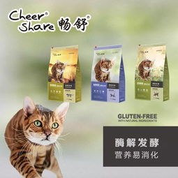 门外养猫风水如何，适合我家猫咪居住吗？