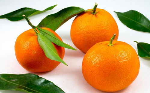 这五种吉祥水果分别有什么美好的寓意呢？