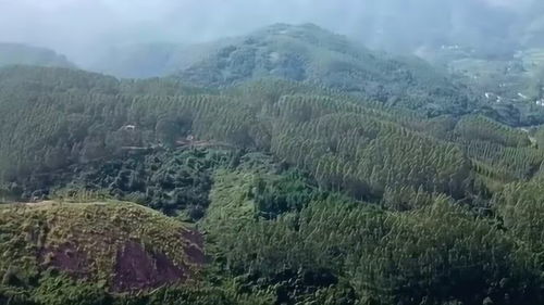 哈尔滨市风水,哈尔滨风水大师有哪些