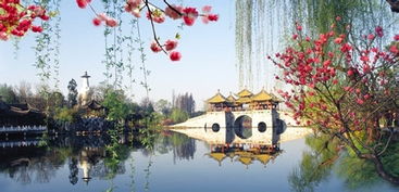 旅游小贴士（其实都是坑）
