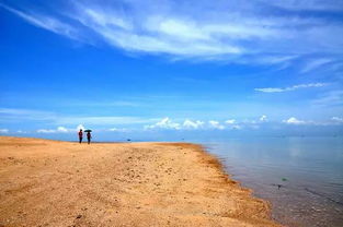 菠萝海的发家史：从渔村到宰客圣地