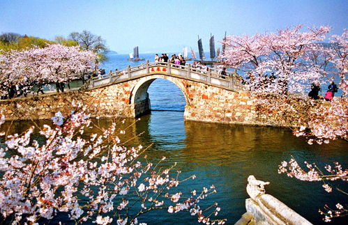 无锡美食：甜到怀疑人生