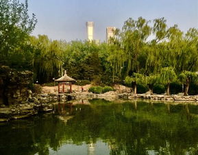 杏林公园：被忽视的秘境，还是游客陷阱？