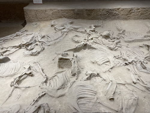 三、 虢国的历史持续发展文献记载：那一些让人头疼的名字和日期