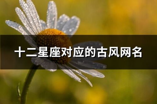 生肖与星座对名字影响（例）